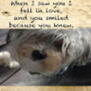 Meet your Posher, Annette